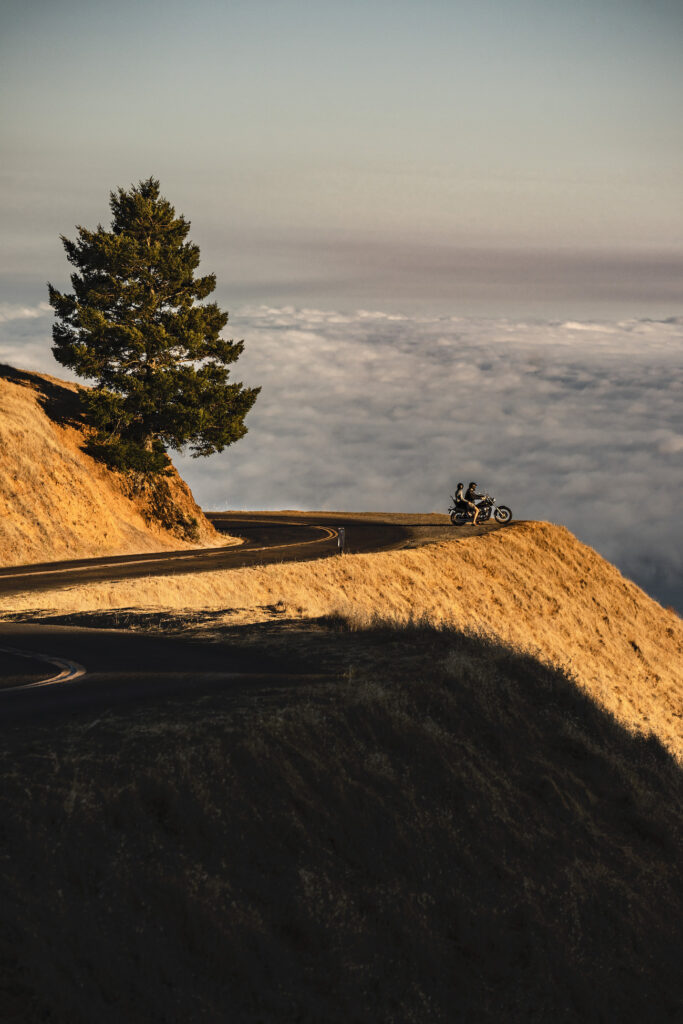 Exploring the hills of Mt. Tam by bike