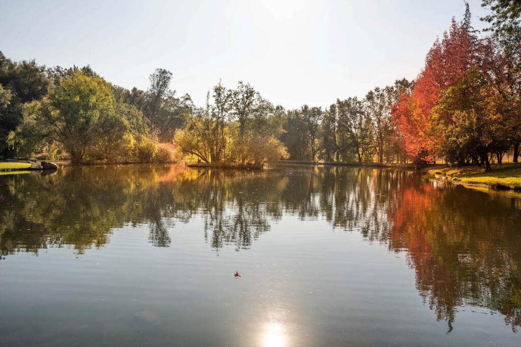 The lake at the Ironstone Vineyards, Murphys