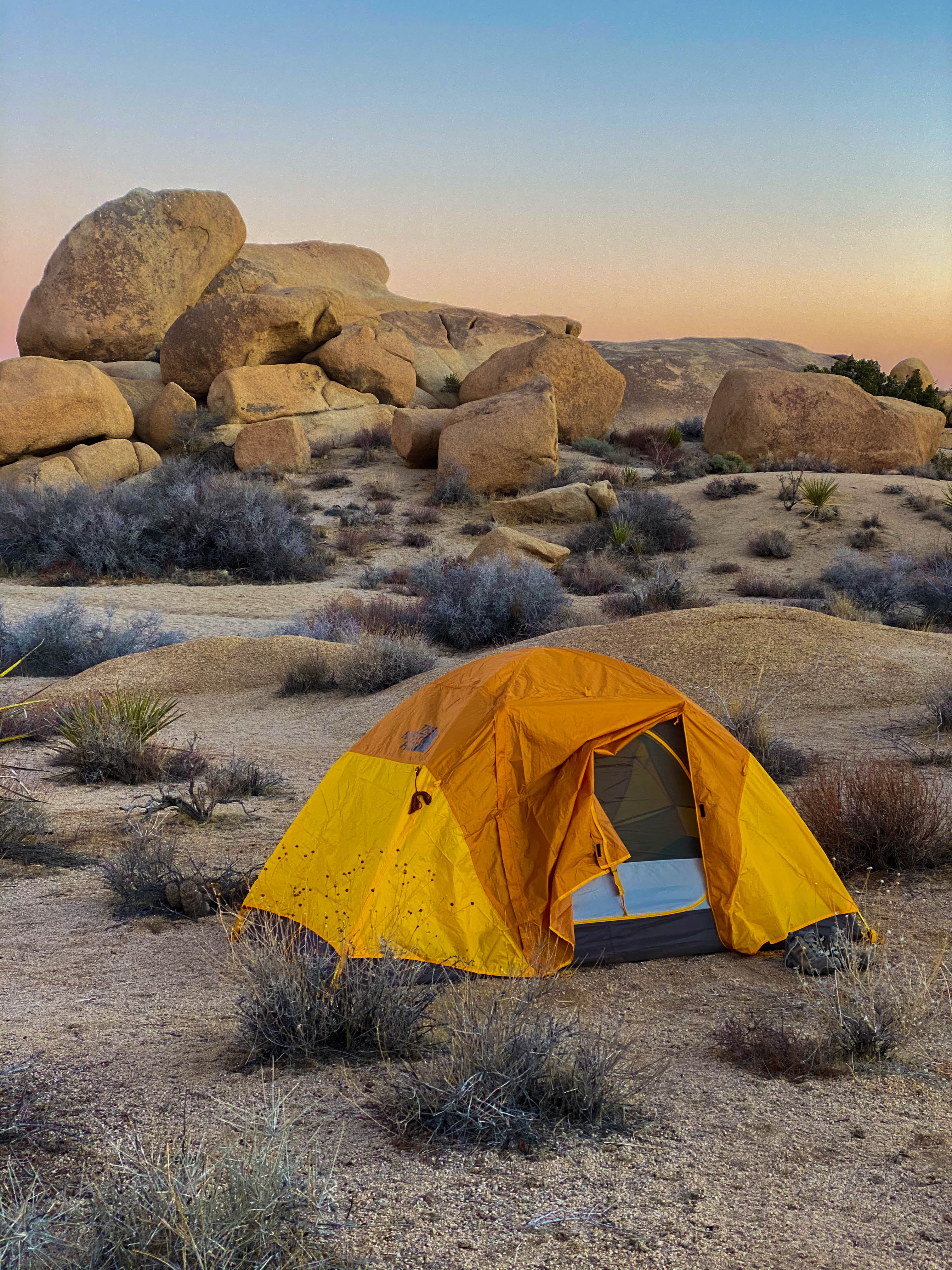 Wilderness Camping in Winter at Joshua Tree