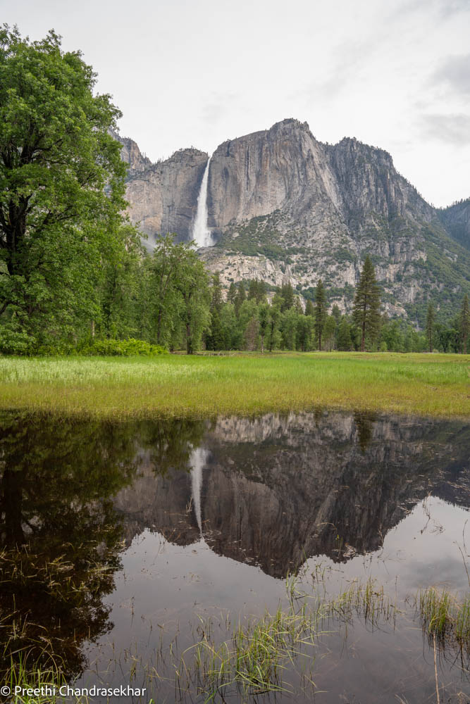 Reflections on the valley floor is one of the things to do and see in Yosemite in the valley.
